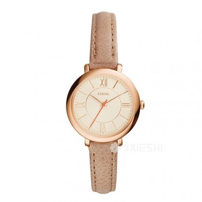 FOSSIL FOSSILŮʿֱES3802 Ȿԭ