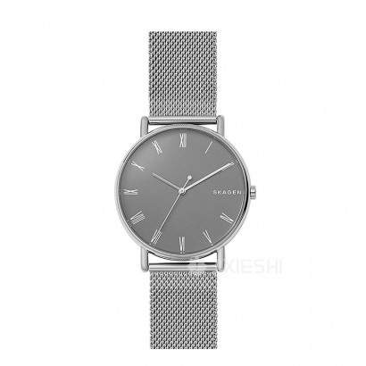 SKAGEN DENMARK ԊʯӢʿֱSKW6428 ...