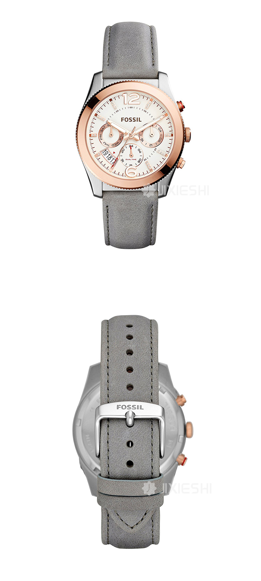 FOSSIL FOSSILŮʿֱES4081 Ȿԭ