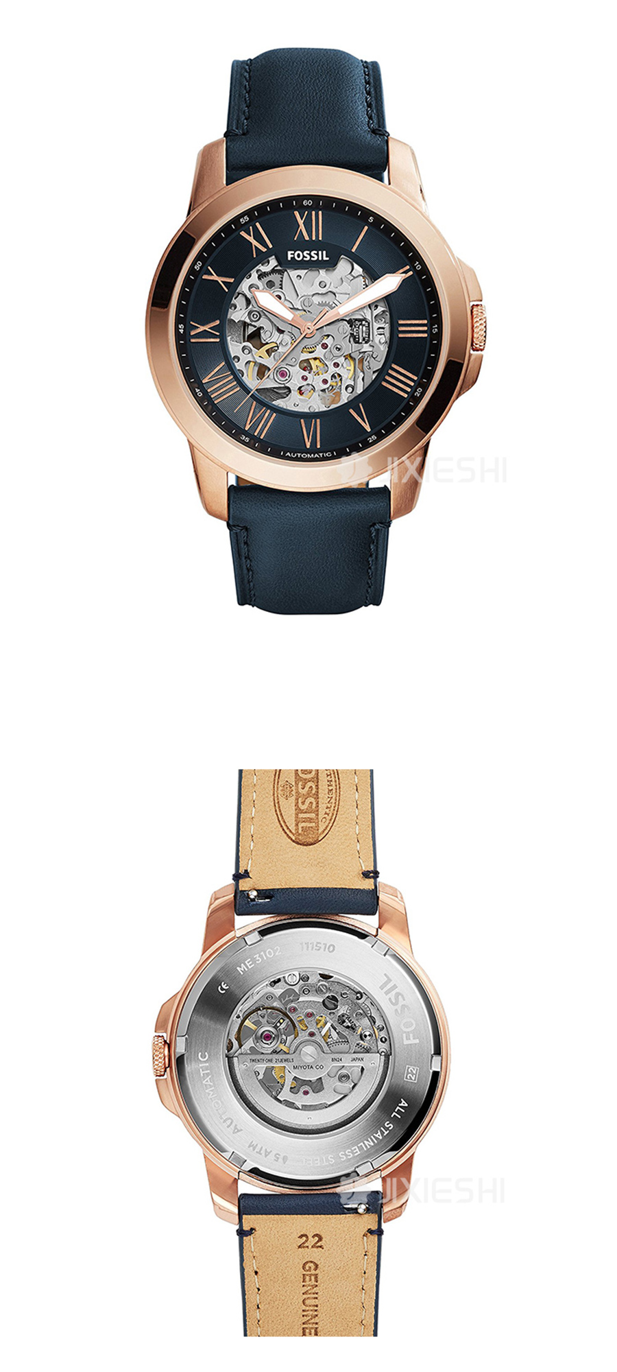 FOSSIL (gu)FOSSILʿֱME3102 Ȿԭ