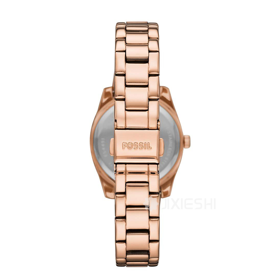 FOSSIL FOSSILŮʿʯӢES4491 Ȿԭ