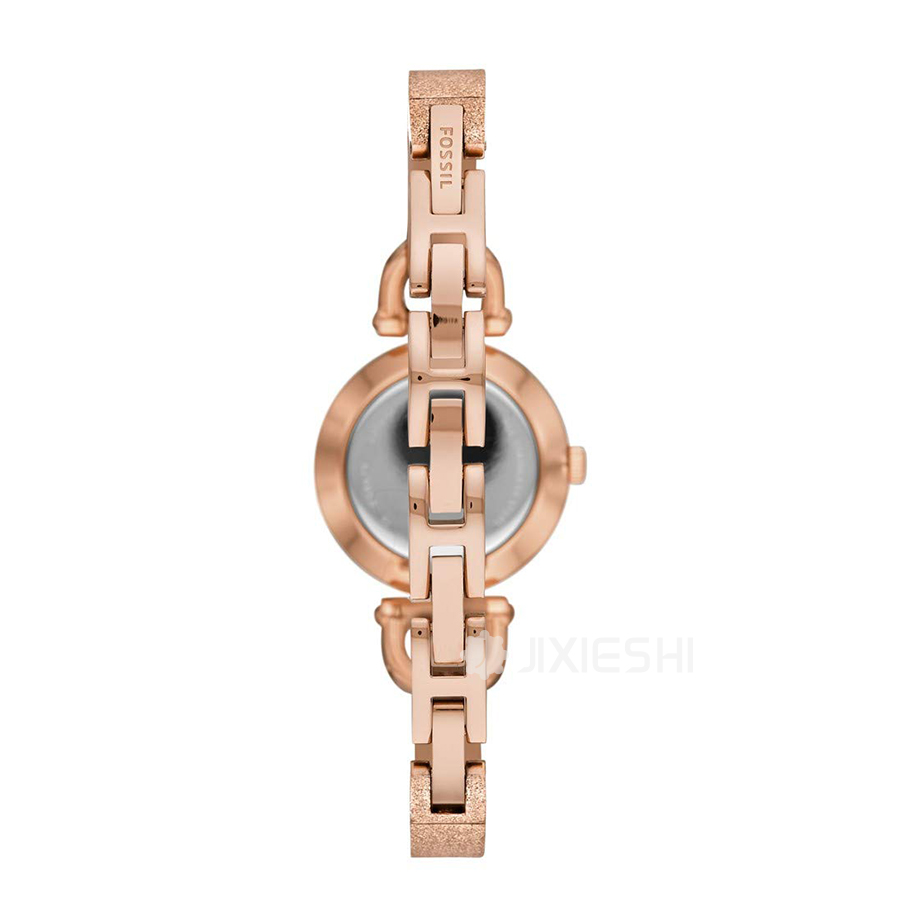FOSSIL (gu)FOSSILŮʿʯӢES4479 Ȿԭ